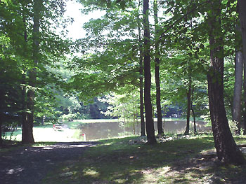 View from the Water Station Run pavilion